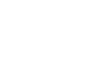 Stewart System